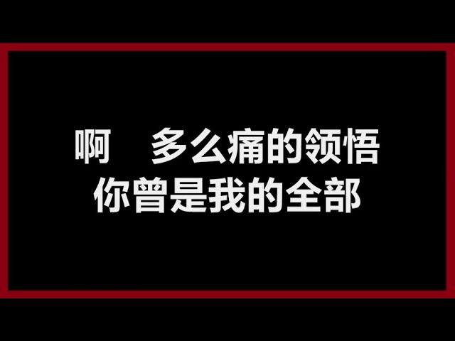 【原唱】 辛晓琪 - 《领悟》 [歌词]