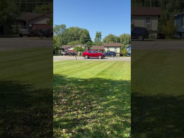 Lawn care stripes #hustler #hustle #lawncare101 #lawncare
