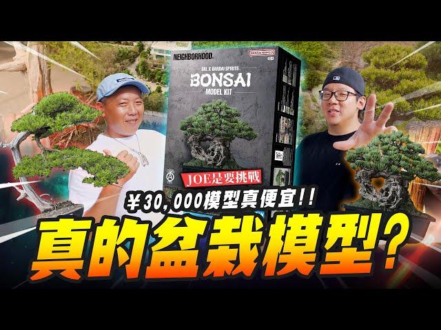 【JOE是要挑戰】真的盆栽模型？¥30000的模型真便宜!!｜Mr.Joe Hobby.tv