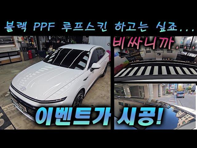 블랙PPF 루프스킨 하고는 싶죠...비싸서 그렇지!! [쏘나타 디엣지]