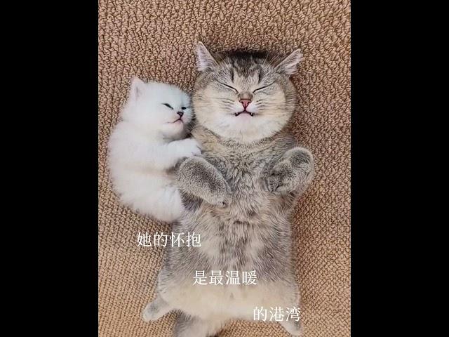 母親是生命里的一束光#live #love #shorts