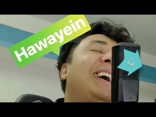 Hawayein - Cover | Revex Maibam | Jab Harry Met Sejal