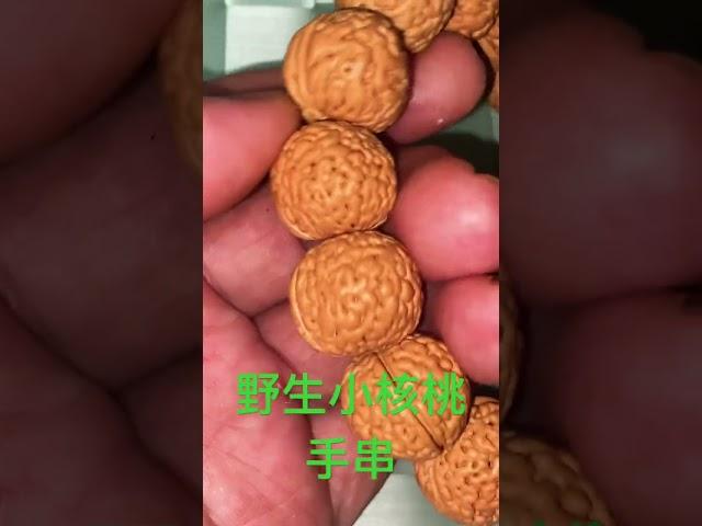 20m腦門小核桃手串