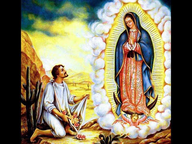 SI YO TE AMO DULCE MADRE VIRGEN MARIA ILY ERAZO VOCES AL CIELO