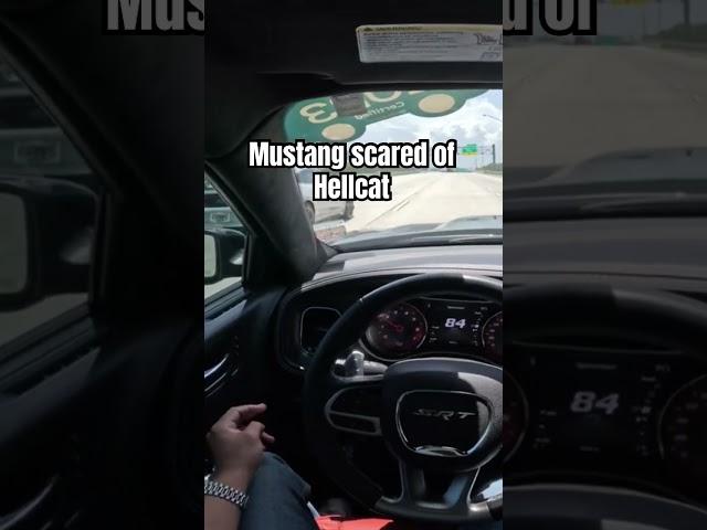 MUSTANG SCARED OF HELLCAT #automobile #srt #hellcat #viralvideo #car #cars #driving #youtubeshorts