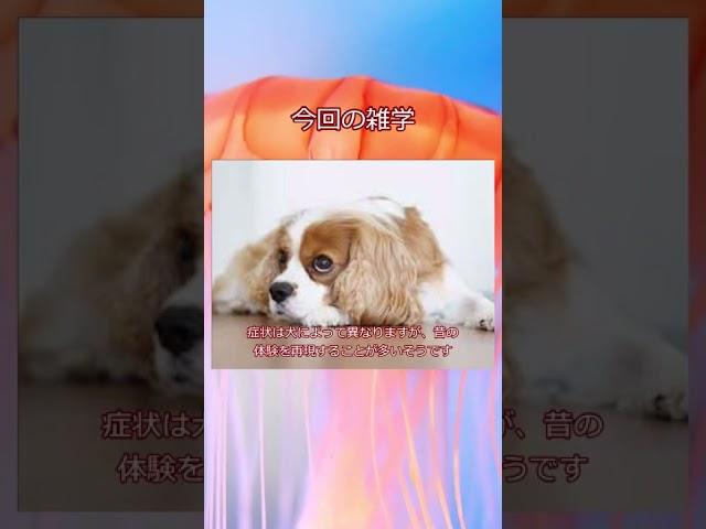 ななやの勉強場　 ＃Short