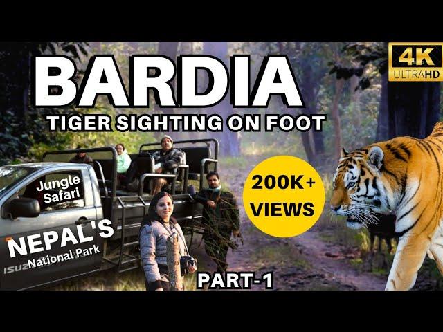 TIGER SIGHTING ON FOOT | NEPAL | BARDIA NATIONAL PARK | PART-1 #nepal #tiger #bardia #wildlife #4k