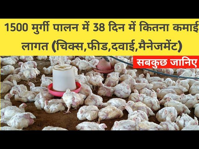 1500 बर्ड को पालने में खर्चा और कमाई कितना हुआ || 1500 Poultry bird production cost and income