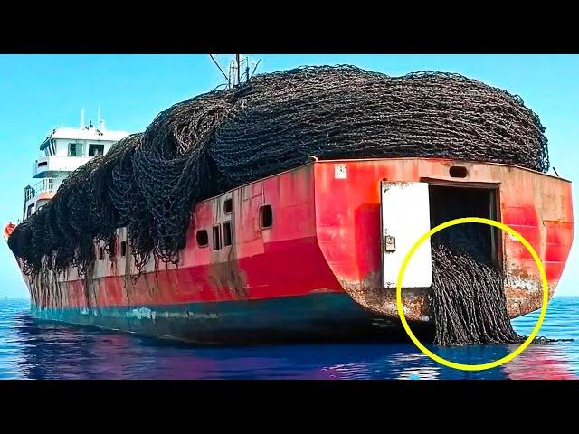 They Dumped Millions Of Tires Into the Ocean And What Happened 50 Years Later Is Shocking