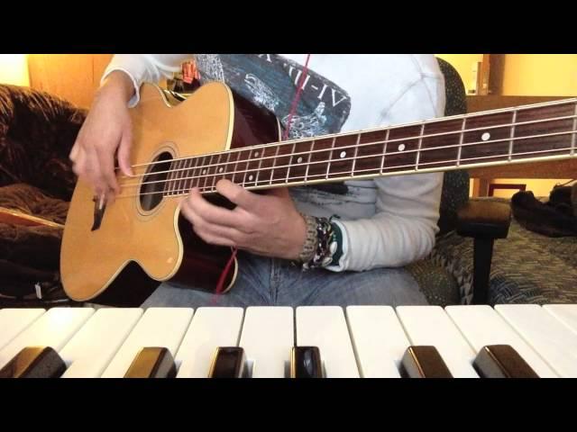 Isn't She Lovely - Stevie Wonder - Acoustic Bass Cover