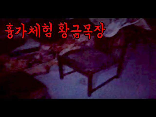 흉가체험 유명한 황금목장 직접 들어가보았습니다 김톰슨
