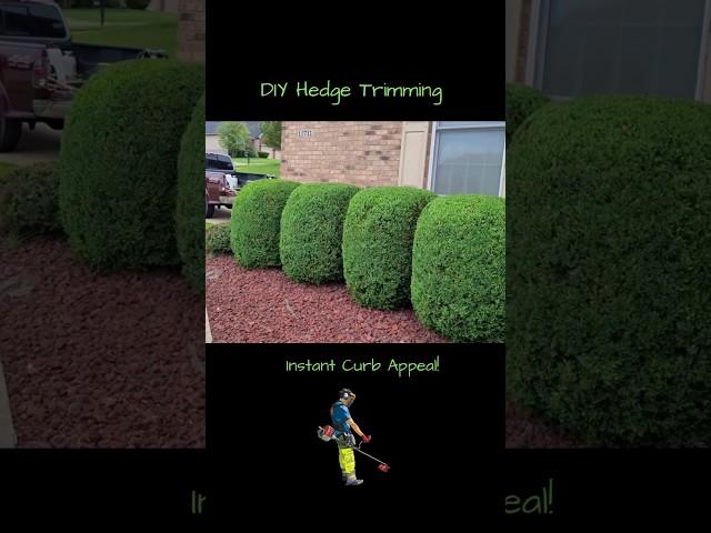 DIY Hedge Trimming | Instant Curb Appeal! #hedgetrimming #shorts