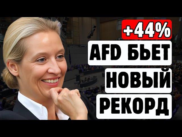 ПРОРЫВ AfD - Традиционные партии В НОКАУТЕ!