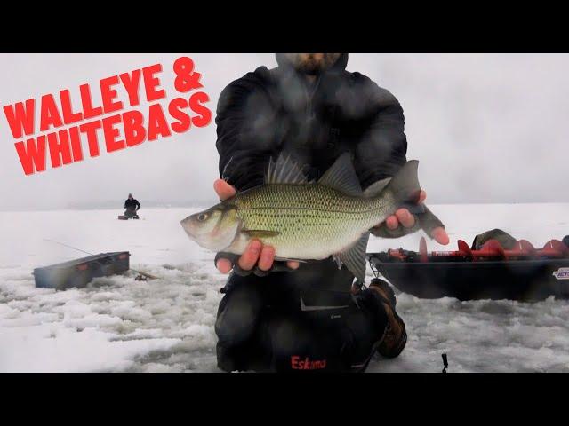 CATCHING WALLEYE & WHITEBASS ON LAKE PETENWELL!!