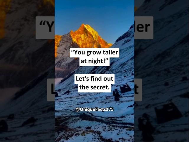 “You grow taller at night!”..#facts #factschannel #night #amazing #tvnetwork #truth #shorts #english