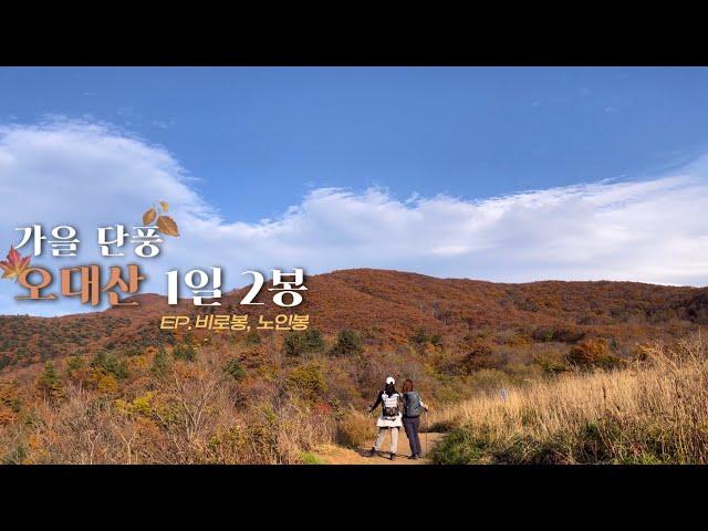 [4K] 만추 절정, 오대산 가을 산행 | 비로봉 to 노인봉 | 1일 2봉 성공| 상원사, 진고개코스 | 귀요미 동고비