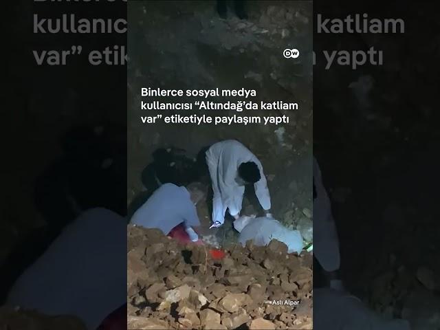 Altındağ'da köpek ölüleri bulundu