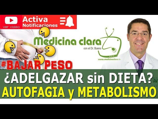 ADELGAZAR SIN ESFUERZO y DIETA: AUTOFAGIA ¿FUNCIONA? | Medicina Clara.