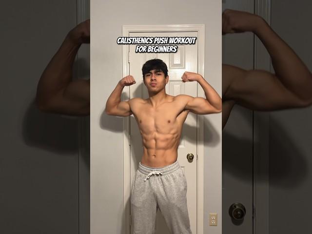 Calisthenics Push Workout For Beginners