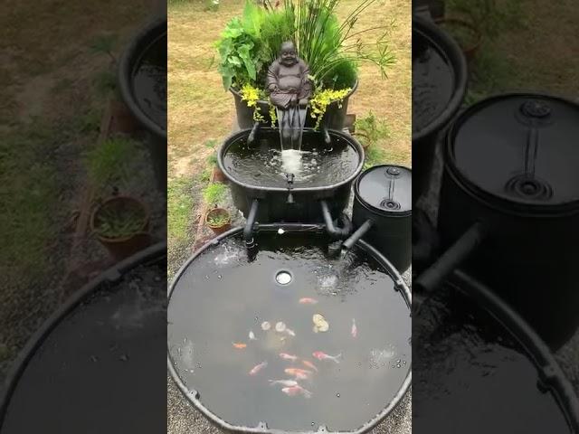 Rubbermaid stock tank goldfish pond