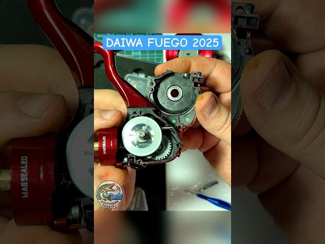 DAIWA FUEGO 25 CS LT  Катушка - Пушка 2025