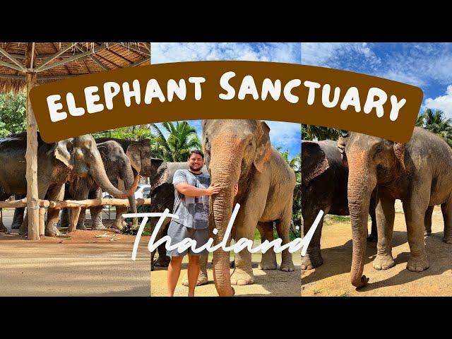 Thailand: Feeding & Bathing Elephants at the Ao Nang Elephant Sanctuary in Krabi!