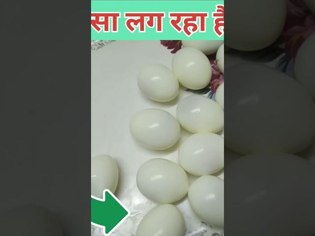 #food #rishi #experiment #streetfood