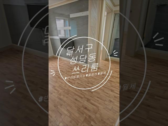 달서구 성당동 반려동물 가능 풀옵션 쓰리룸 월세