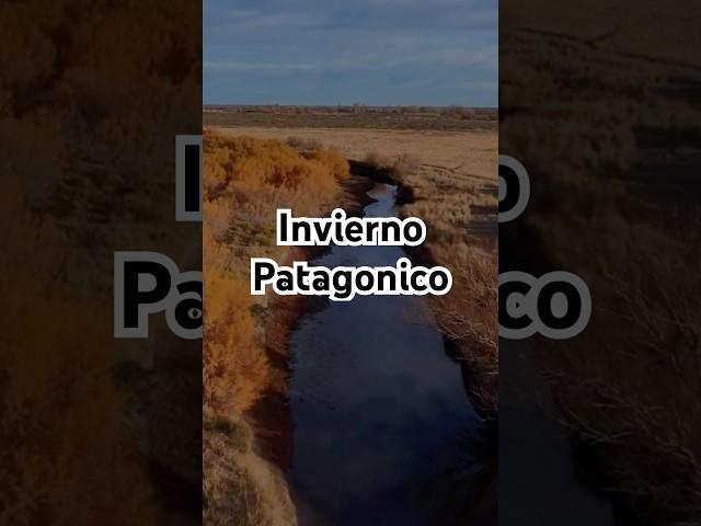 Los colores del invierno en la Patagonia! #argentina #patagonia #travel