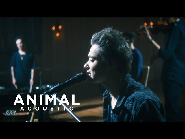 LOST ZONE - Animal (acoustic) (Official Music Video)