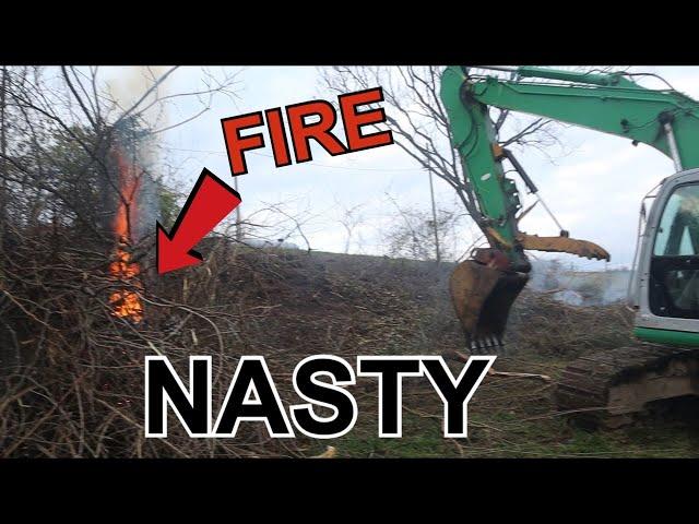 How to DESTROY a Pasture Field