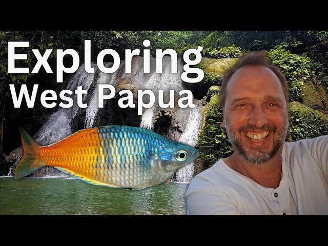 Rainbowfish Collecting in West Papua | Hans Evers (ANGFA National Conference 2024)