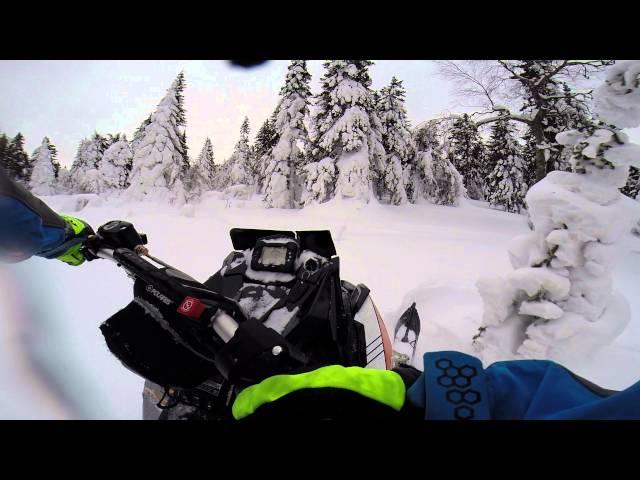 Polaris PRO RMK AXYS 155 2,6