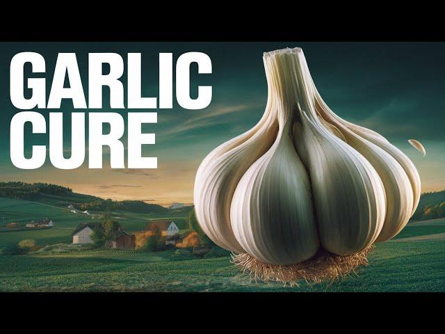 Phenomenal Health Benefits Of Garlic!