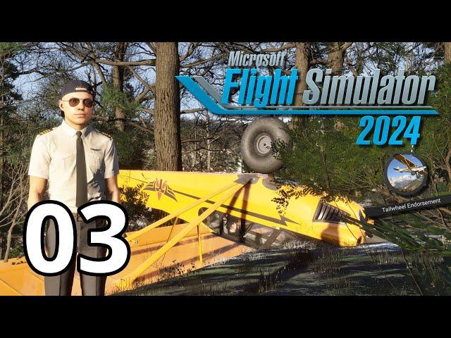 Real Airline Pilot | Completing our Tailwheel Endorsement and Night Rating | MSFS 2024 Career