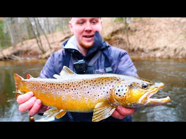 Michigan Trout Camp Adventure (Tent Camping)