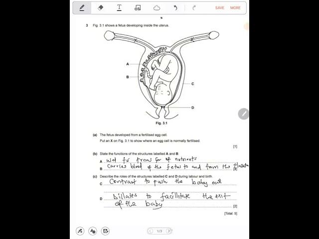 Biology Revision GCE & G12 ECZ.