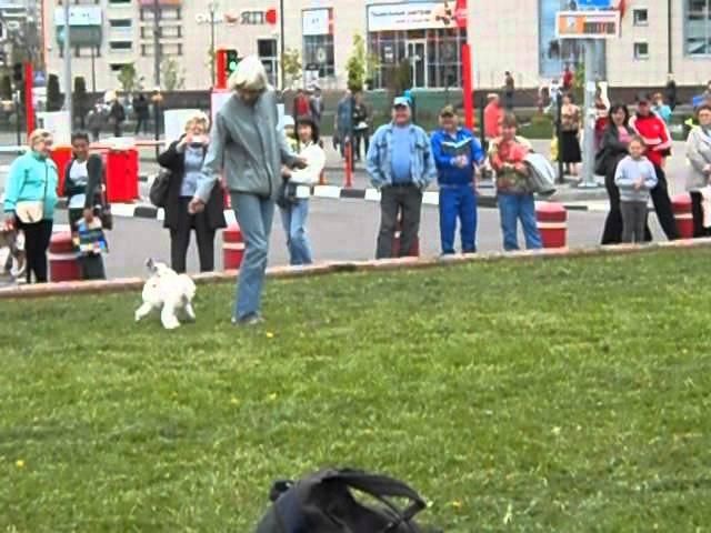Валентина Балашова и Ивашка.