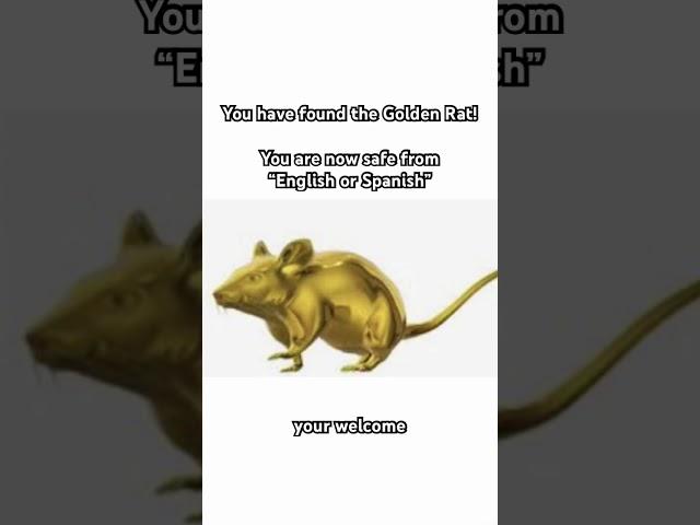 Congratulations! you dont have to worry anymore #viral #youtube