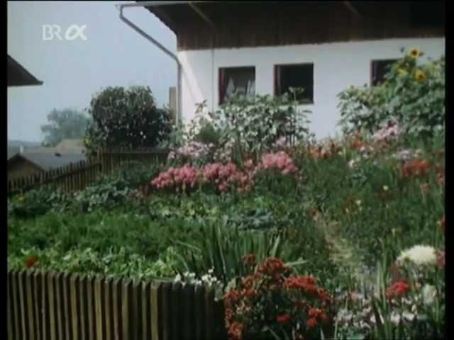 Grün kaputt (Dieter Wieland, 1983)