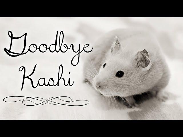 ~ Goodbye Kashi ~