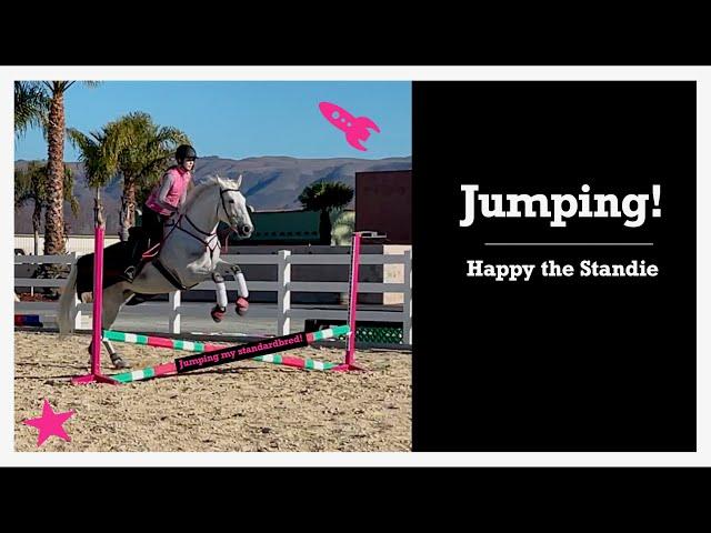 Jumping! | Happy the Standie