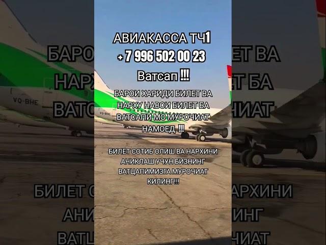 АВИАКАССА ТЧ1 + 7 996 502 00 23 #aviakassa_tj1 #авиакасса #авиабилеты #таджикистан_душанбе