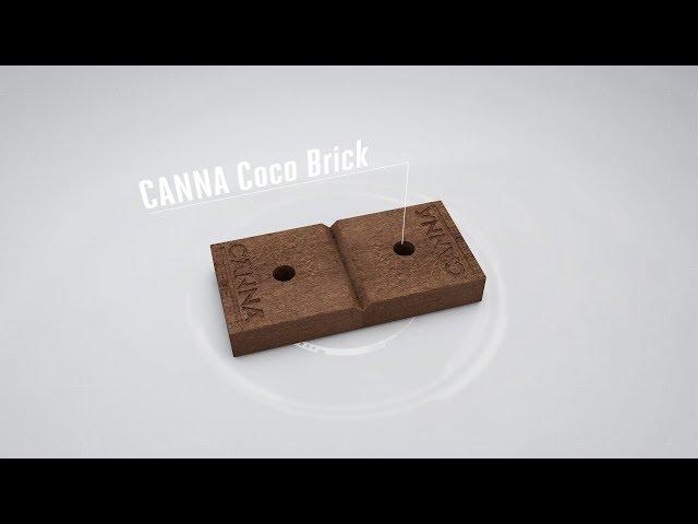 CANNA Coco Brick