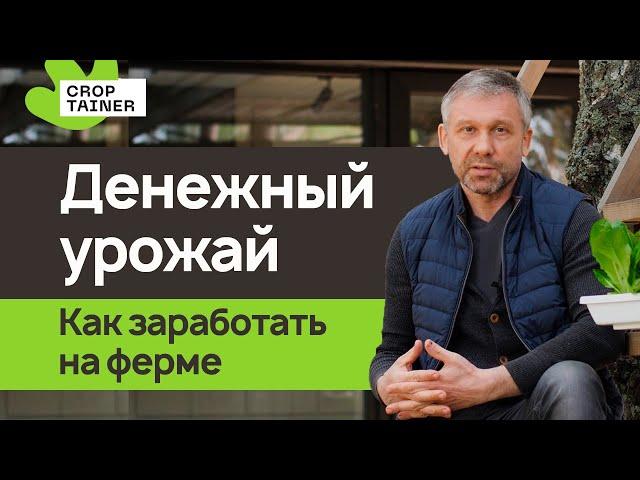 Сельское хозяйство: золотая жила или чёрная дыра для инвестиций? Можно ли заработать на ферме?