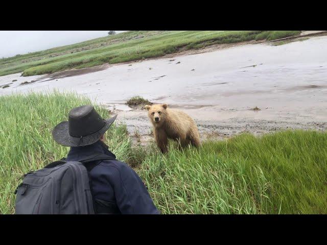 Grizzly Bear Charge in Remote Alaska