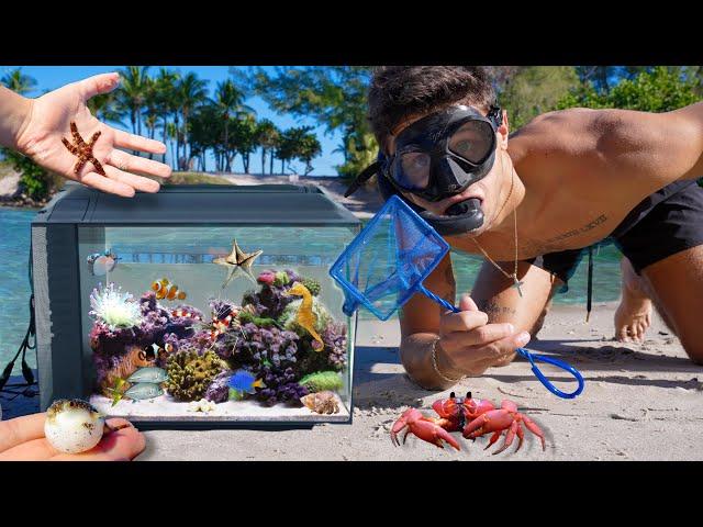 Catching SEA CREATURES For OUTDOOR AQUARIUM!!