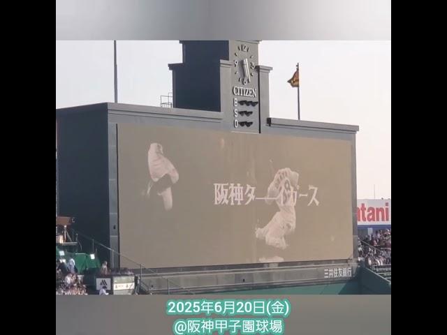 20250620　再び流れる！ｶｯｺいい！交流戦限定ﾑｰﾋﾞｰ【阪神ﾀｲｶﾞｰｽvs福岡ｿﾌﾄﾊﾞﾝｸﾎｰｸｽ】試合前　#shorts@阪神甲子園球場･ﾚﾌﾄ外野 日本生命ｾ･ﾊﾟ交流戦