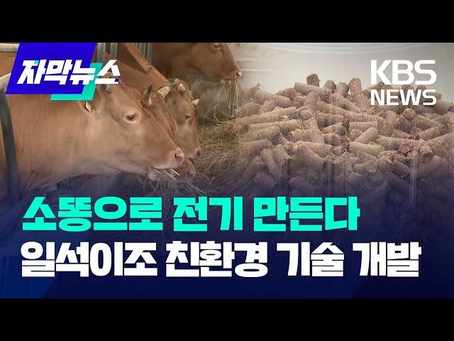 소똥으로 전기 만든다…환경·에너지 둘 다 잡는 친환경 기술 개발 / KBS 2024.06.22.