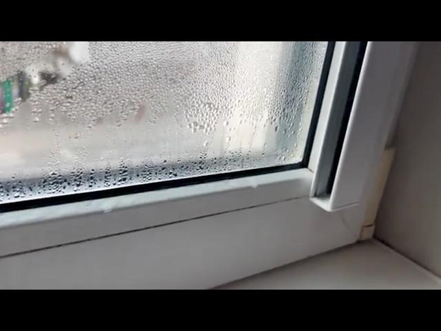 Ich stelle es auf das Fensterbrett. Keine beschlagenen Fenster den ganzen Winter über!